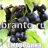 Слова что на картинке помощь