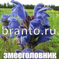 ответы на игру Слова что на картинке?