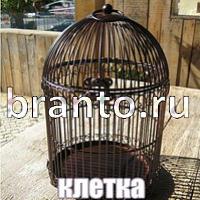 Слова что на картинке? ответы