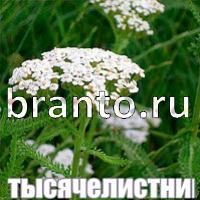 Слова что на картинке? ответы в картинках