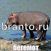 Слова что на картинке