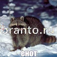 слова что на картинке ответы в одноклассниках