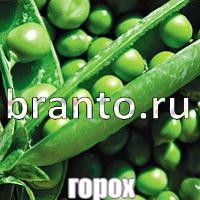 Ответы Слова: что на картинке?