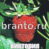 Слова что на картинке ответы в одноклассниках