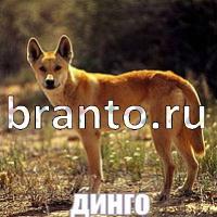 Слова что на картинке одноклассники ответы