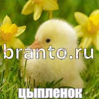 Слова что на картинке помощь