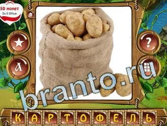 помощь на игру Закадри короля одноклассники уровень 203