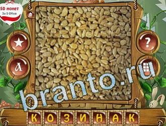 игра Закадри короля відповіді в контакте уровень 211