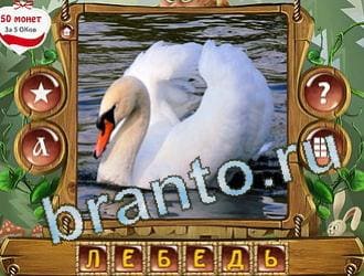 Закадри короля игра решения уровень 216