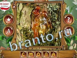 ответы на игру Закадри короля уровень 217