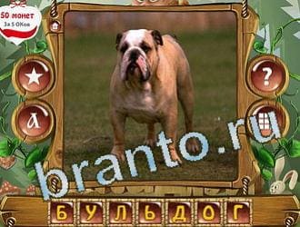 Закадри короля ВК ответ на уровень 223