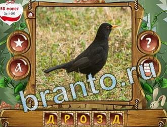 ответы на игру Закадри короля уровень 226