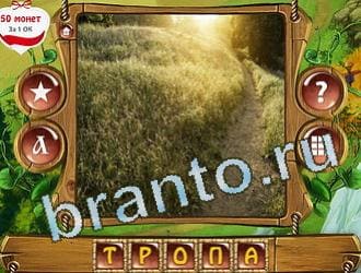 ответы Закадри короля уровень 242