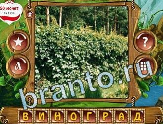 подсказки на игру Закадри короля уровень 250