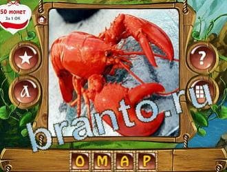 ответы на игру Закадри короля уровень 325