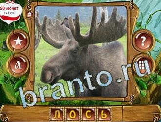 ответы на игру Закадри короля уровень 327