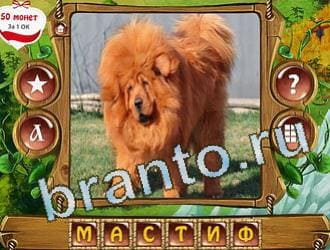 ответы на все уровни игры Закадри короля уровень 331