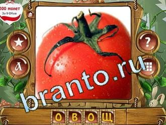 ответы на игру Закадри короля уровень 378