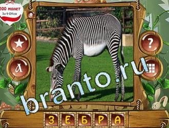 Закадри короля игра ответы уровень 380