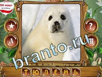 Закадри короля игра ответы уровень 384