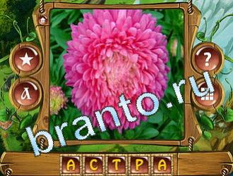 помощь на игру Закадри короля одноклассники уровень 553