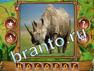 игра Закадри короля решения уровень 559