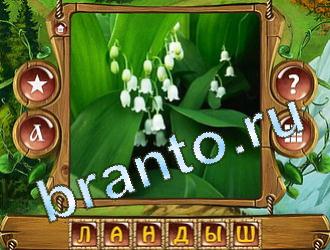 ответы на игру Закадри короля уровень 570