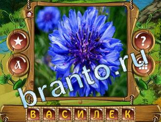 ответы на игру Закадри короля уровень 577