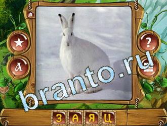 помощь на игру Закадри короля уровень 583