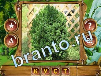 Закадри короля игра ответы уровень 584