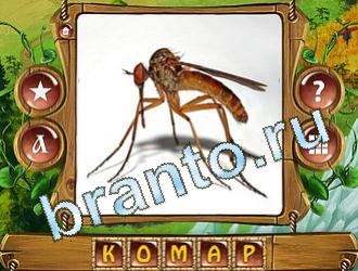 решения на игру слова королевский турнир Одноклассники уровень 586