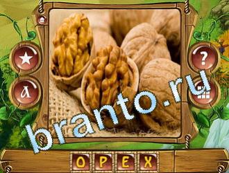 ответы на игру Закадри короля уровень 587