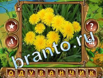 ответы на игру Закадри короля уровень 588