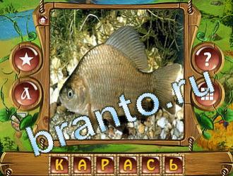 слова королевский турнир ответ на уровень 590