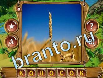 ответы Закадри короля уровень 592