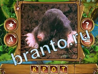 ответы на игру Закадри короля уровень 594