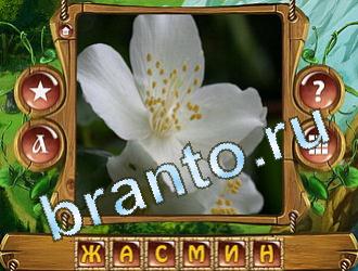 Закадри короля ответы уровень 597