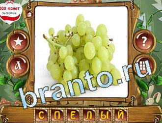 подсказки на игру слова королевский турнир уровень 402