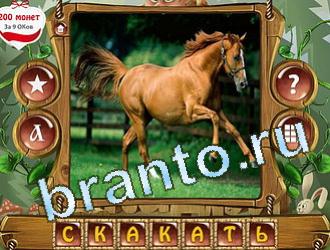 игра Закадри короля ответы в контакте уровень 406