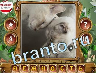 игра слова королевский турнир помощь ВК уровень 408