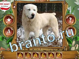 ответы на игру Закадри короля уровень 417