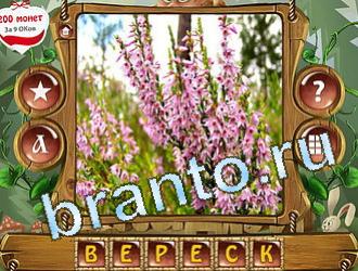 ответы на игру Закадри короля уровень 426