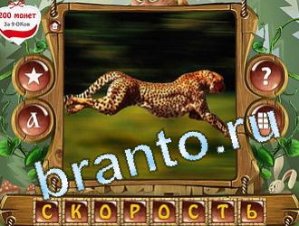 ответы на игру Закадри короля уровень 428