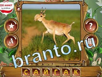 ответы на игру слова королевский турнир в Одноклассниках уровень 429