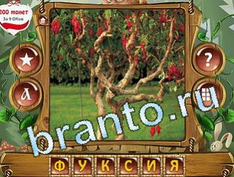 ответы приложение Закадри короля уровень 445