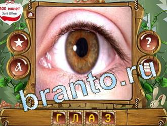 ответы на игру Закадри короля уровень 449