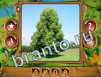 ответы на игру слова королевский турнир уровень 605