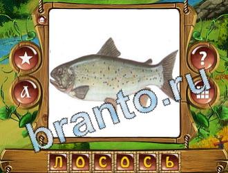 игра Закадри короля ответы в контакте уровень 606