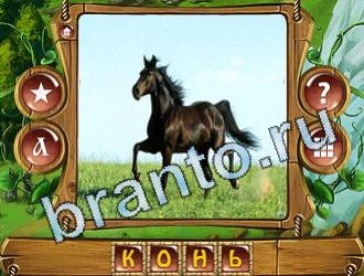 скриншоты с ответами Закадри короля уровень 614