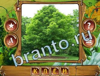 Закадри короля игра решения уровень 616